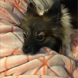 Meet your Posher, Emily